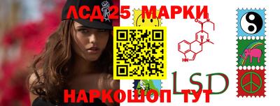 СК Бердск