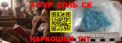 СК Бердск