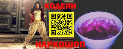 СК Бердск