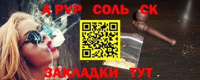 СК Бердск