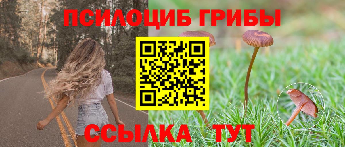 Ахтубинск  Псилоцибиновые грибы мухоморы  Псилоцибиновые грибы мицелий  Вход с VPN 